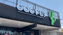 cactuscreativemx