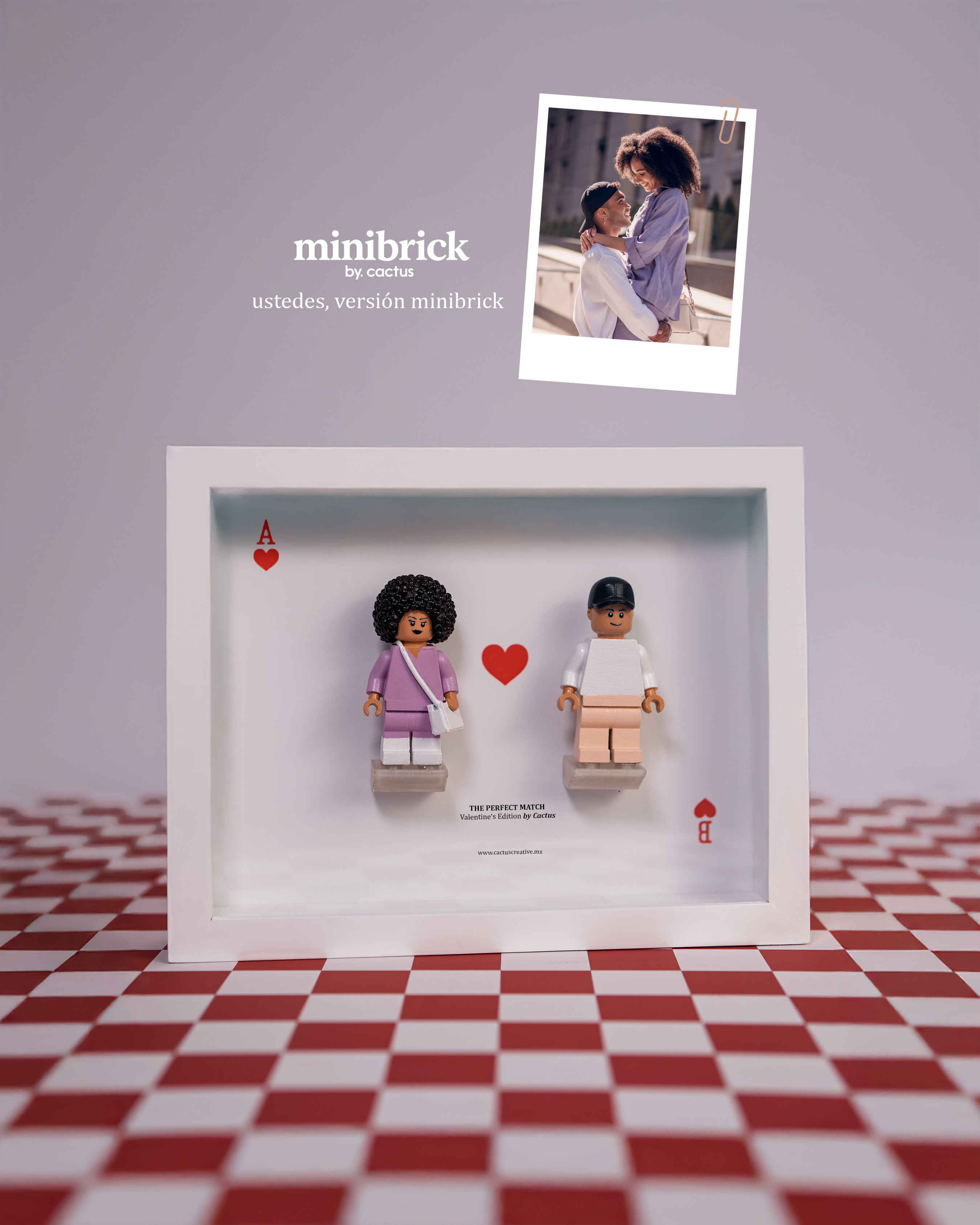 Image of MiniBrick by Cactus
