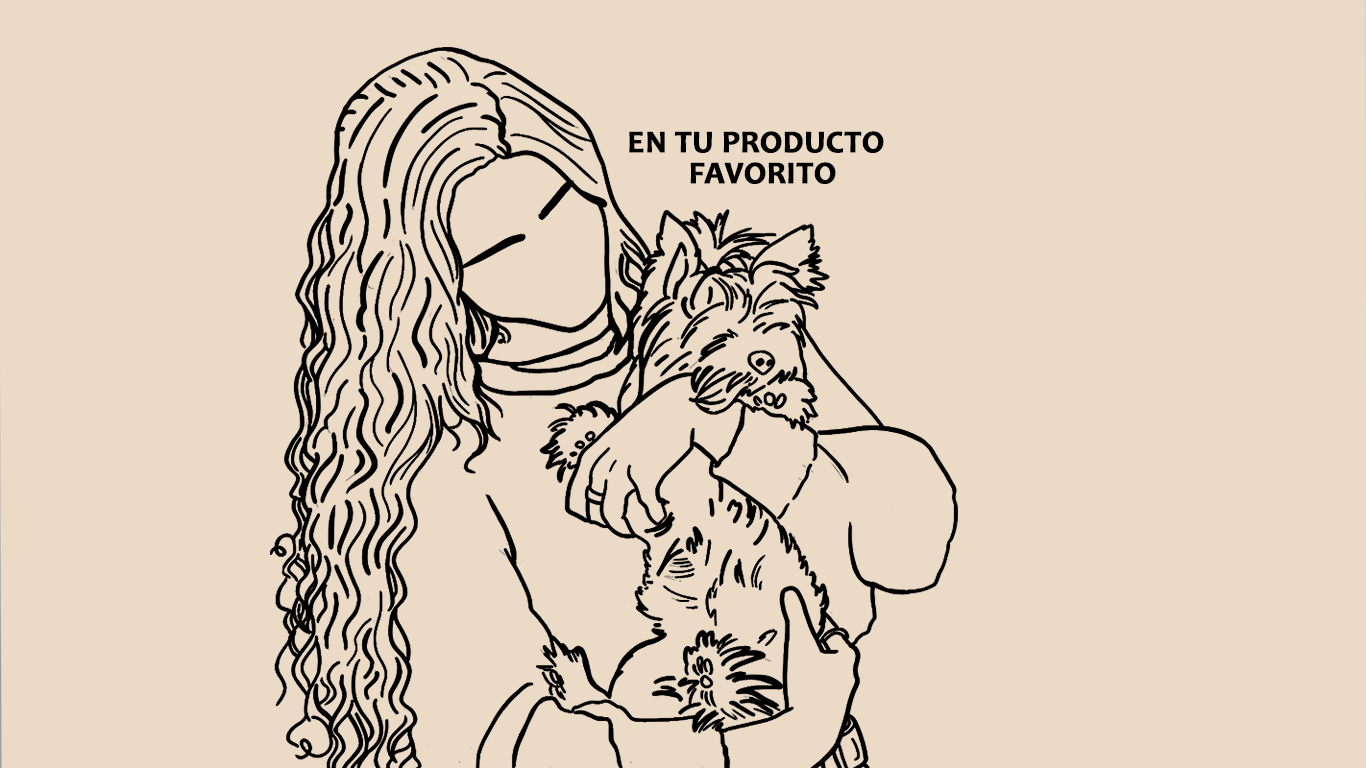 cactuscreativemx